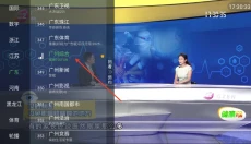 野火直播投屏版 截图