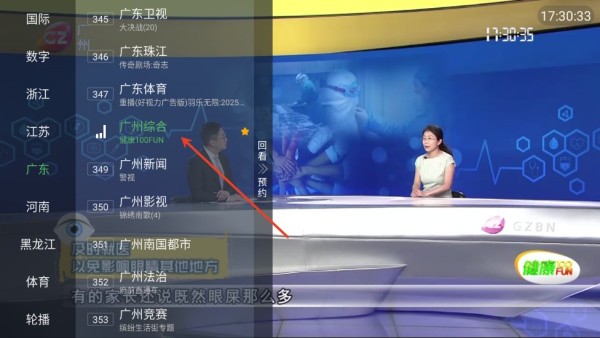 野火直播投屏版