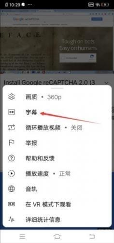 YouTube中文版