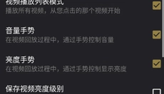 oplayer 截图