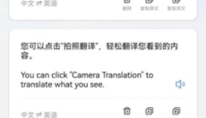 卓越翻译官 截图