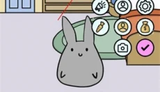 study bunny 截图