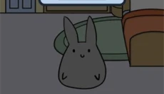 study bunny 截图