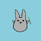 study bunny