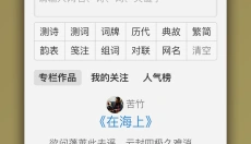 诗词吾爱检测工具 截图