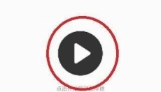 译妙蛙翻译官APP 截图