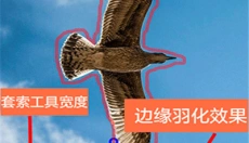 抠图合成 截图