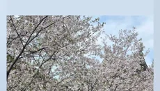 photocolors安卓版 截图