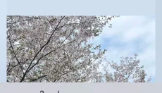photocolors安卓版 截图