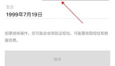 vscocam 截图