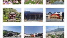 vscocam 截图