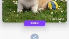 faceapp安卓版 截图