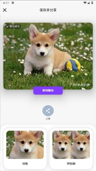 faceapp安卓版