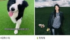 AI抖音最新版 截图