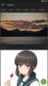 wallhaven手机版 截图
