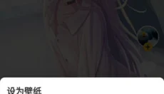元气桌面 截图
