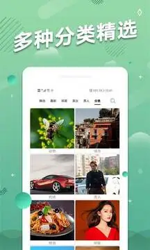 手机动态壁纸 截图