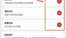 灵动岛 截图