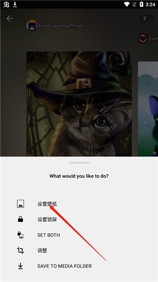 zedge壁纸免费版