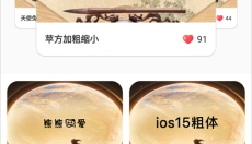 字体美化大师vivo版 截图