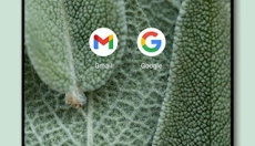 Dock壁纸 截图