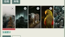 Dock壁纸 截图