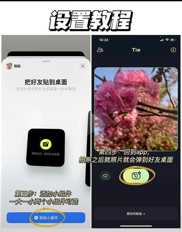 贴贴app官网