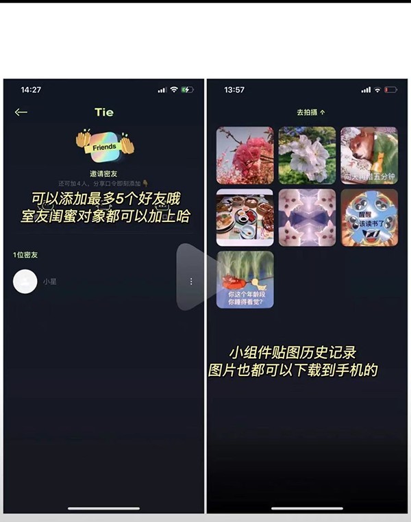 贴贴app官网
