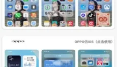 凛星主题库安卓版 截图