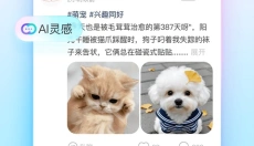Soul安卓版 截图