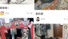 尾星 截图
