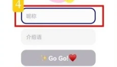 Mnet Plus 截图