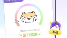 DoubleFeel 截图