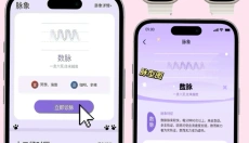 DoubleFeel 截图