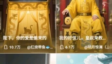 猫箱ai 截图