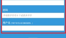Poipiku 截图