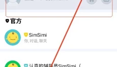 simsimi软件 截图