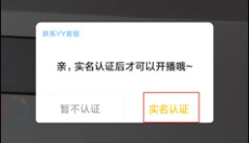 yy 截图