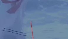 thel正版 截图