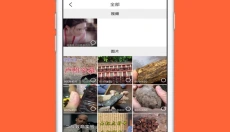 飞鸟浏览器 截图