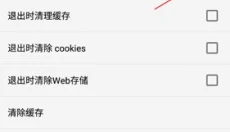 ie浏览器 截图