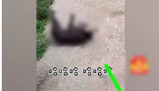 皮皮搞笑 截图