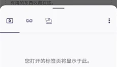 Iceraven 截图