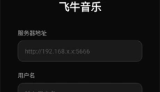飞牛音乐 截图