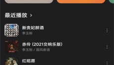 飞牛音乐 截图