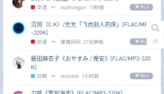 HiFi音乐磁场 截图