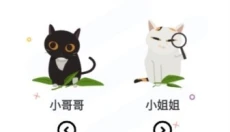 喵趣漫画app 截图