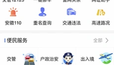 皖警便民服务e网通 截图