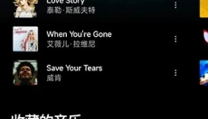 谷歌音乐app 截图