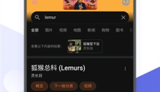 狐猴浏览器 截图